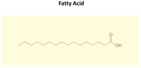 chemical line structure of a generic fatty acid