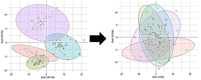 an example of the resulting PCA plot from fingerprint samples collected on the MS over multiple different days, in the first plot the samples of different days are clustered according to day, in the second plot which is normalized the clusters are all on top of one another and overlapping, suggesting the data is comparable