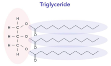 chemical line structure of a generic triglyceride 