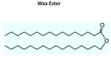 chemical line structure of a generic wax ester